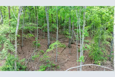 Tbd Darrow Drive #95, Nebo, NC 28761 - Photo 23