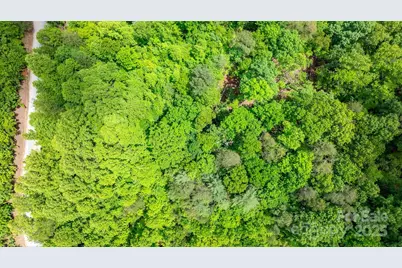 Tbd Darrow Drive #95, Nebo, NC 28761 - Photo 19