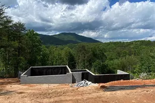 2 Jackson Rdg Ln, Mill Spring, NC 28756 - Photo 5