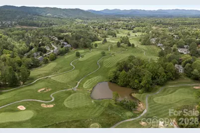 46 Hawtree Court #255, Weaverville, NC 28787 - Photo 7