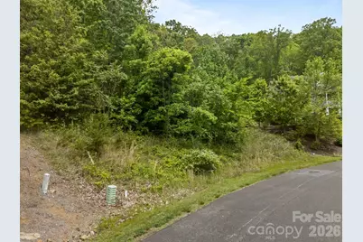 46 Hawtree Court #255, Weaverville, NC 28787 - Photo 9