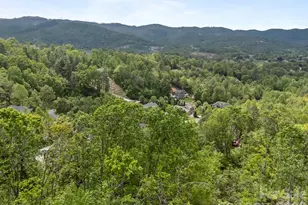 46 Hawtree Ct, Weaverville, NC 28787 - Photo 1