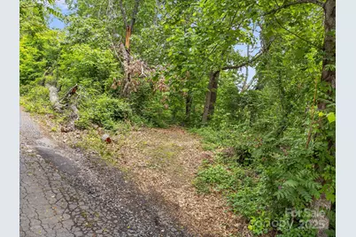 9999 Small Mountain Drive, Asheville, NC 28805 - Photo 5
