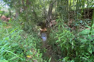 660 Pinehurst Rd, Ellenboro, NC 28040 - Photo 27