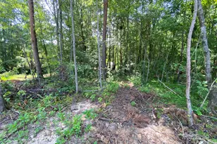 660 Pinehurst Rd, Ellenboro, NC 28040 - Photo 29