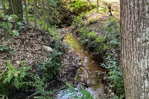 660 Pinehurst Rd, Ellenboro, NC 28040 - Photo 9