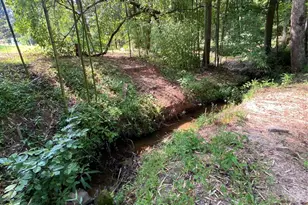 660 Pinehurst Rd, Ellenboro, NC 28040 - Photo 21