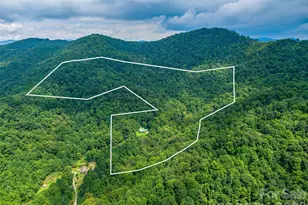 600 Charisma Dr, Marshall, NC 28753 - Photo 5