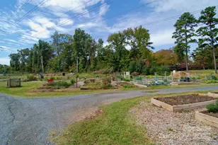 46 Timberidge Dr, Lake Wylie, SC 29710 - Photo 43