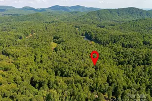 151 Heatherly Heights Rd, Saluda, NC 28773 - Photo 35