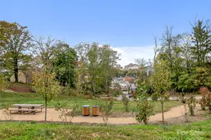 53 Buchanan Pl, Asheville, NC 28801 - Photo 33