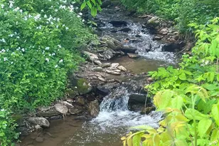 550 Joe Payne Rd, Marshall, NC 28753 - Photo 41