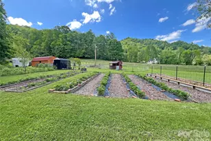 550 Joe Payne Rd, Marshall, NC 28753 - Photo 35