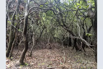 99999 Prospectors Trail, Black Mountain, NC 28711 - Photo 3