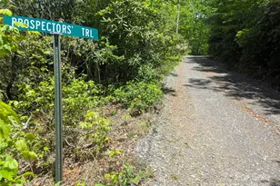99999 Prospectors Trl, Black Mountain, NC 28711 - Photo 1
