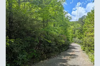 99999 Prospectors Trail, Black Mountain, NC 28711 - Photo 5