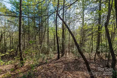 18 Walnut Ridge Way #2.65 Acres, Lenoir, NC 28645 - Photo 3