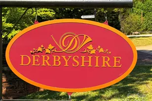 0 Mapleton Ln, Columbus, NC 28722 - Photo 11