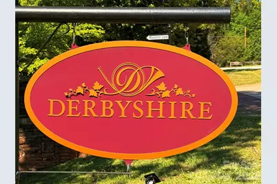 0 Mapleton Lane, Columbus, NC 28722 - Photo 9