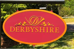 0 Mapleton Ln, Columbus, NC 28722 - Photo 9