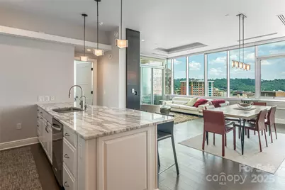 151 Haywood Street #1002, Asheville, NC 28801 - Photo 9