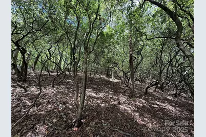 Tbd Tellico Trail #42/22, Brevard, NC 28712 - Photo 5