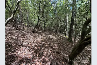 Tbd Tellico Trail #42/22, Brevard, NC 28712 - Photo 3