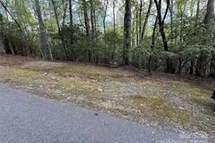 Tbd Tellico Trail, Brevard, NC 28712 - Photo 1