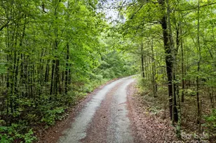 230 Shagbark Ln, Salisbury, NC 28146 - Photo 37