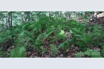 7881 US 25/70 Highway, Marshall, NC 28753 - Photo 43