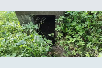 7881 US 25/70 Highway, Marshall, NC 28753 - Photo 33