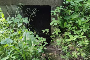 7881 US 25/70 Hwy, Marshall, NC 28753 - Photo 33