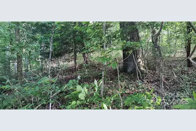 7881 US 25/70 Highway, Marshall, NC 28753 - Photo 41