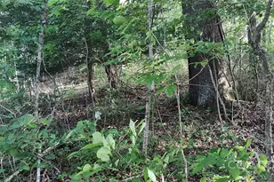 7881 US 25/70 Hwy, Marshall, NC 28753 - Photo 41