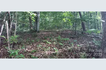 7881 US 25/70 Highway, Marshall, NC 28753 - Photo 39