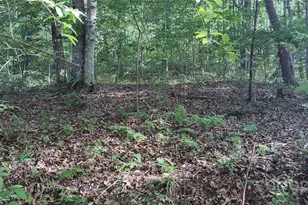 7881 US 25/70 Hwy, Marshall, NC 28753 - Photo 39