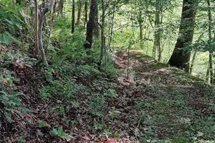 7881 US 25/70 Hwy, Marshall, NC 28753 - Photo 35