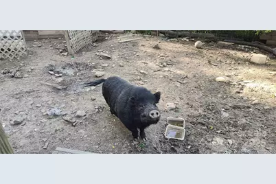 7881 US 25/70 Highway, Marshall, NC 28753 - Photo 31