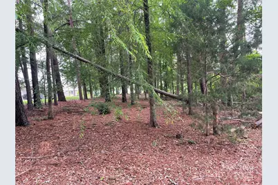 13409 Ethelyn Circle, Huntersville, NC 28078 - Photo 5