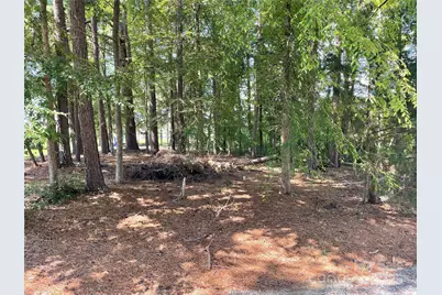 13409 Ethelyn Circle, Huntersville, NC 28078 - Photo 3