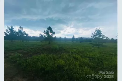 2200 Oweda Drive, Conover, NC 28613 - Photo 9