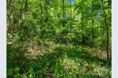 00 Hamilton Acres Drive, Hendersonville, NC 28792 - Photo 9