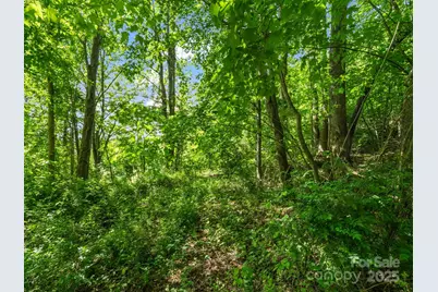 00 Hamilton Acres Drive, Hendersonville, NC 28792 - Photo 11