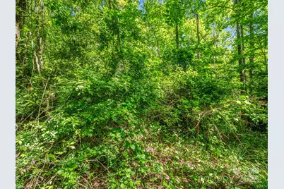 88 Hamilton Acres Drive, Hendersonville, NC 28791 - Photo 13