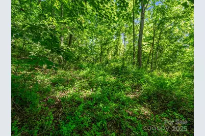 88 Hamilton Acres Drive, Hendersonville, NC 28791 - Photo 7