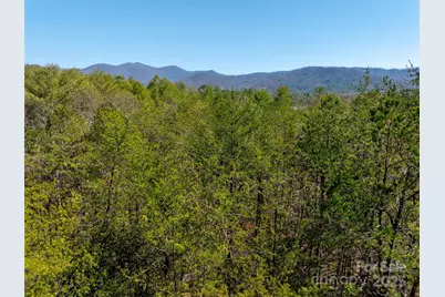 83 Union Chapel Road, Weaverville, NC 28787 - Photo 5
