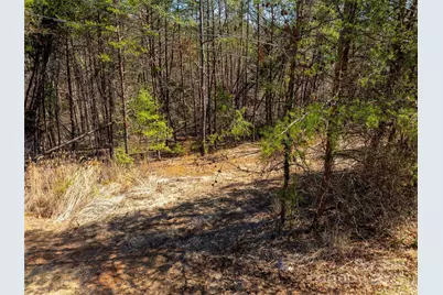 83 Union Chapel Road, Weaverville, NC 28787 - Photo 13