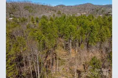 83 Union Chapel Road, Weaverville, NC 28787 - Photo 3