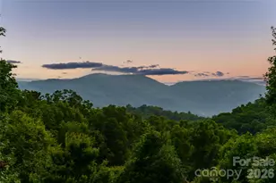 20 E Owl Creek Ln, Fairview, NC 28730 - Photo 39
