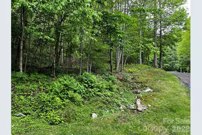 1 Pearl Way, Mars Hill, NC 28754 - Photo 3